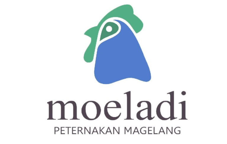 Website Company Profile Moeladipm