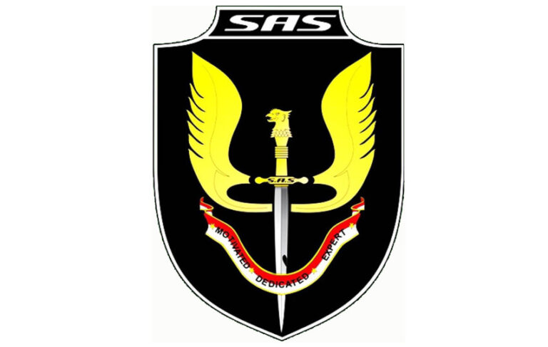 Website Company Profile SAS